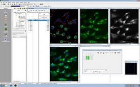 Система высокопроизводительного клеточного скрининга IN Cell Analyzer 2200